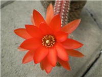 35d8d1e5-Picture 4381.jpg